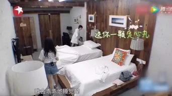 旅舍2在线视频,揭秘异域风情与温馨住宿体验