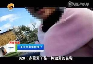 草莓国内在线视频观看,盘点热门视频与粉丝心声