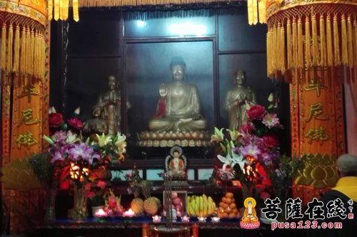 观世音圣诞法会在线视频,灵性之旅的视觉记录